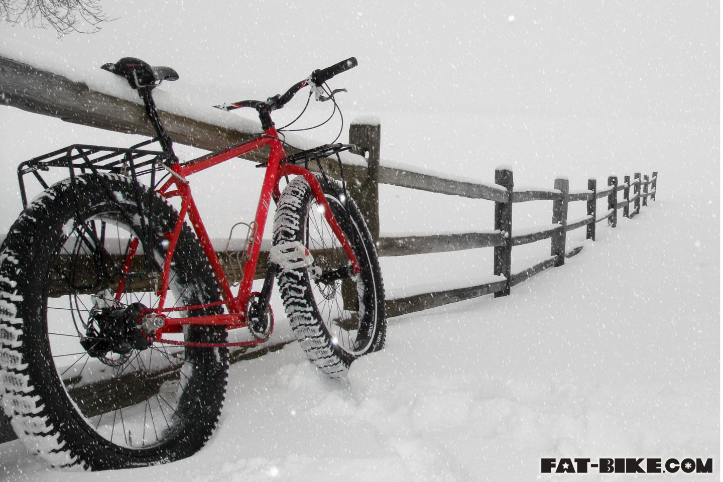 Wallpaper Wednesday – Red Pugsley in the Snow 