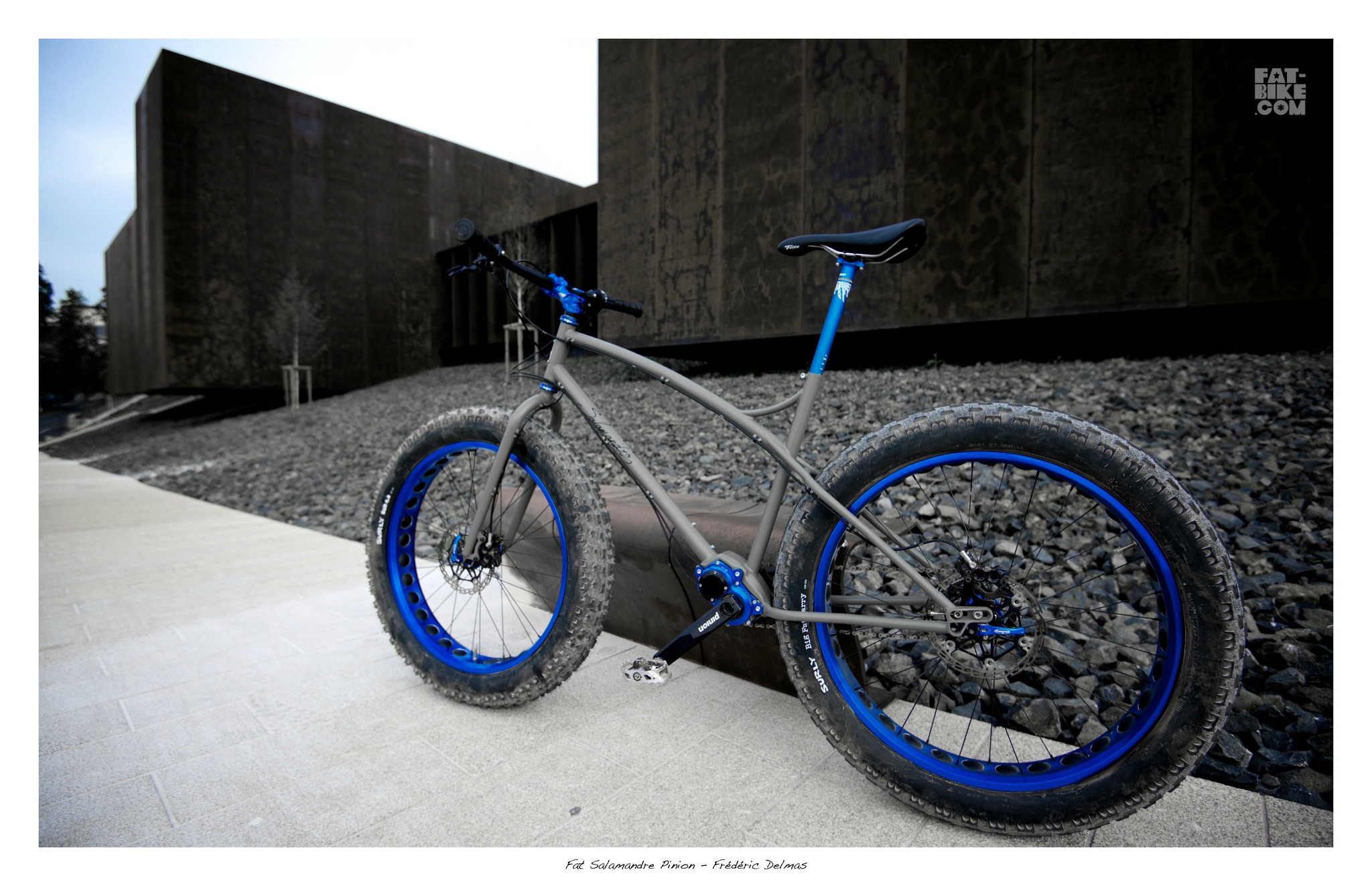 fat-bike.com/wp-content/uploads/2014/07/Salamandre-cycles-pinion-prototype-fat-bike-1.jpg