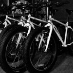 fat-bike rental fleet