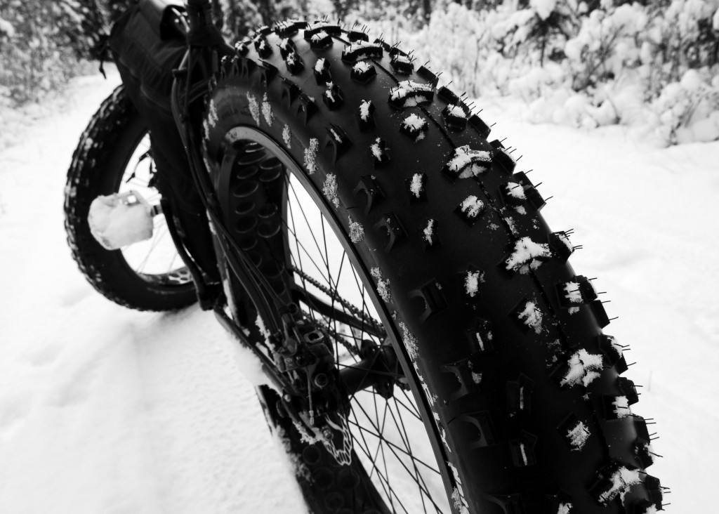 A Surly Nate on a FlatTop 100 rim