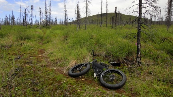 Riding my single-speed Pugs 1300' up a trail in Alaska