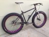 singlespeed-fat-bike-2454