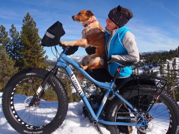 Even Marley can ride a fat bike.