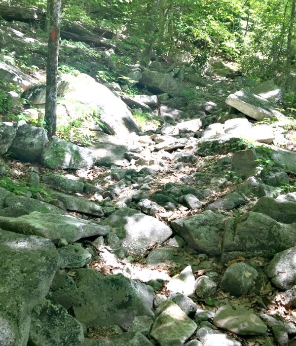 Pilot Rock Trail