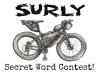 Surly secret word 2
