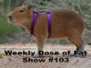 weekly-dose-of-fat-radio-intro103