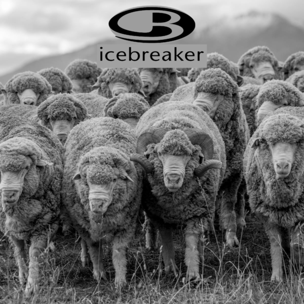 Icebreaker Merino Wool Base Layer: Product Review ·