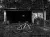 wallpaper wednesday - fat-bike.com-4934-2