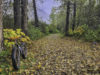 autumn in valdez fat-bike.com-01