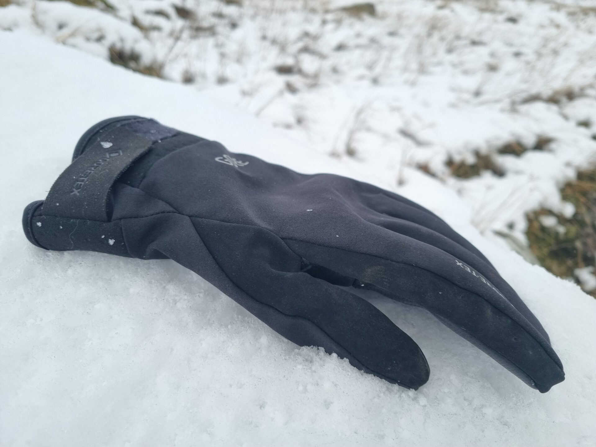 C5 GORE-TEX THERMO GLOVES Review - by Summittoppler -