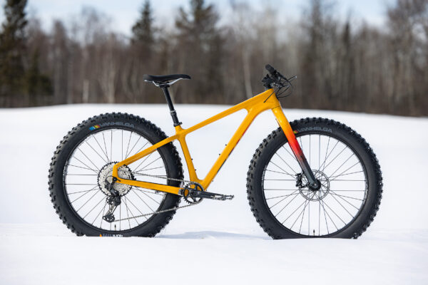 The 5 Best Fat Bikes of 2024