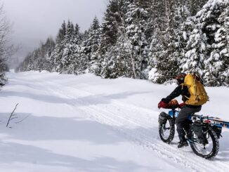 Man riding fat bike with alpine touring skis down snowy trail