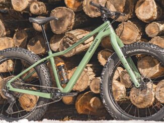 Panorama Chic Chocs 3 against a woodpile