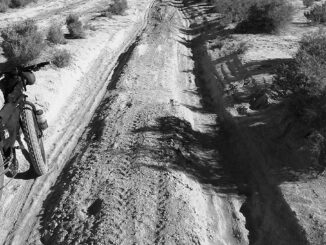 fat-bike in the desert