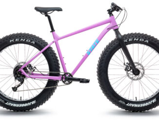 state bicycle fat-bike