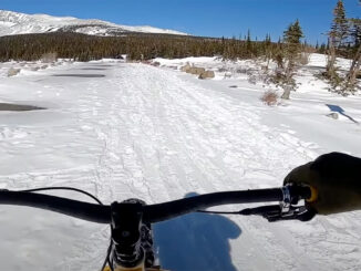 surly ice cream truck
