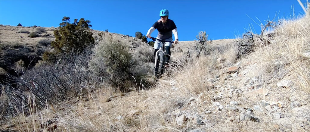 fatbike mtb