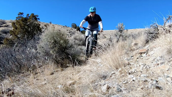 fatbike mtb